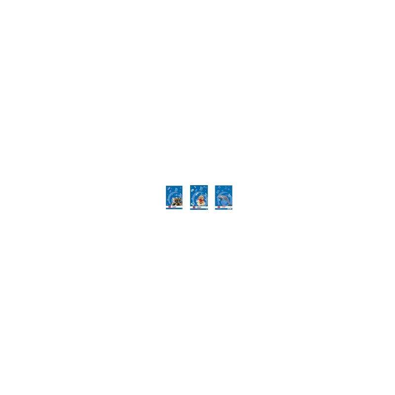 herlitz Arbeitsblock x.book, DIN A4, Lineatur 1