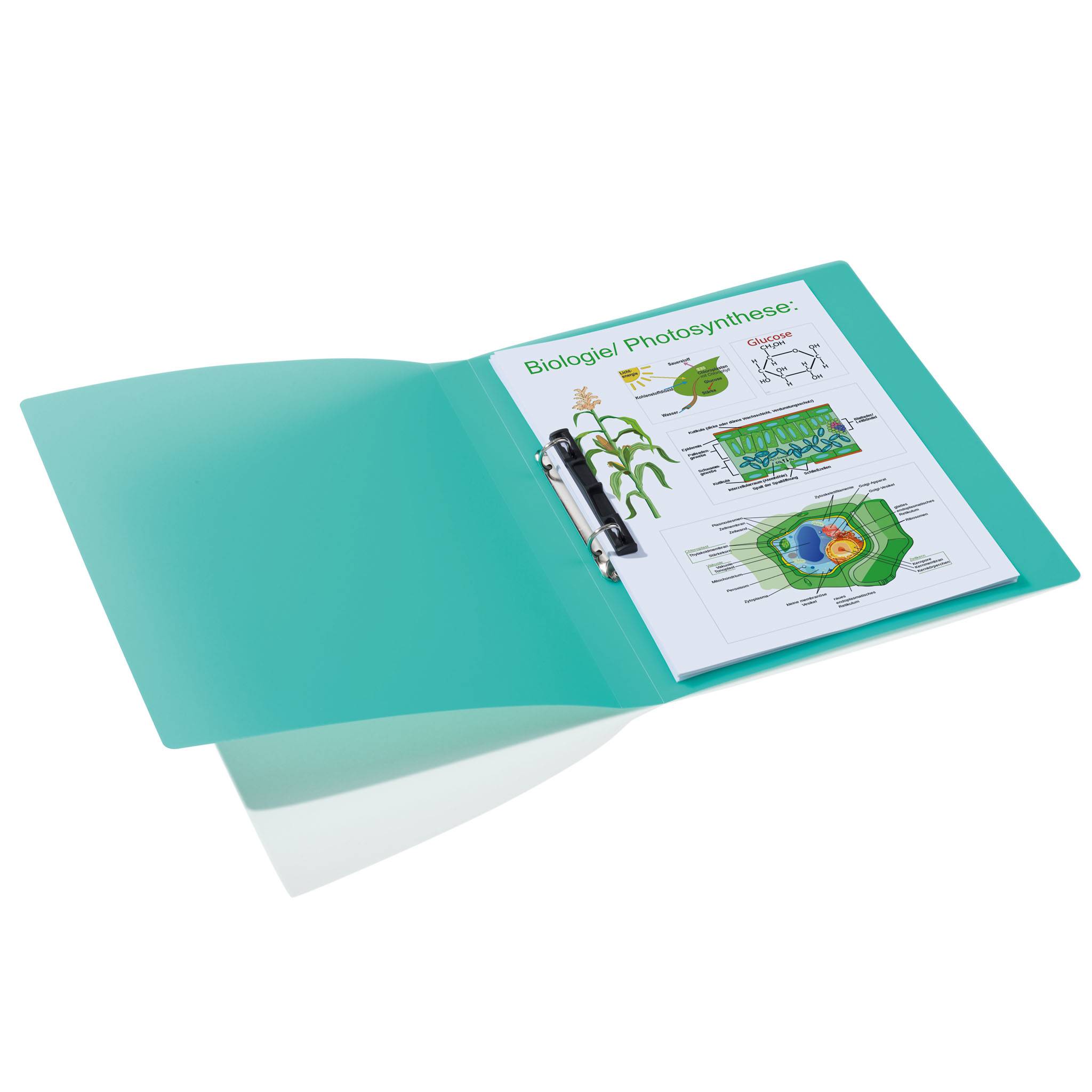 HERMA - Ringbuch - Rückenbreite: 25 mm - für A4