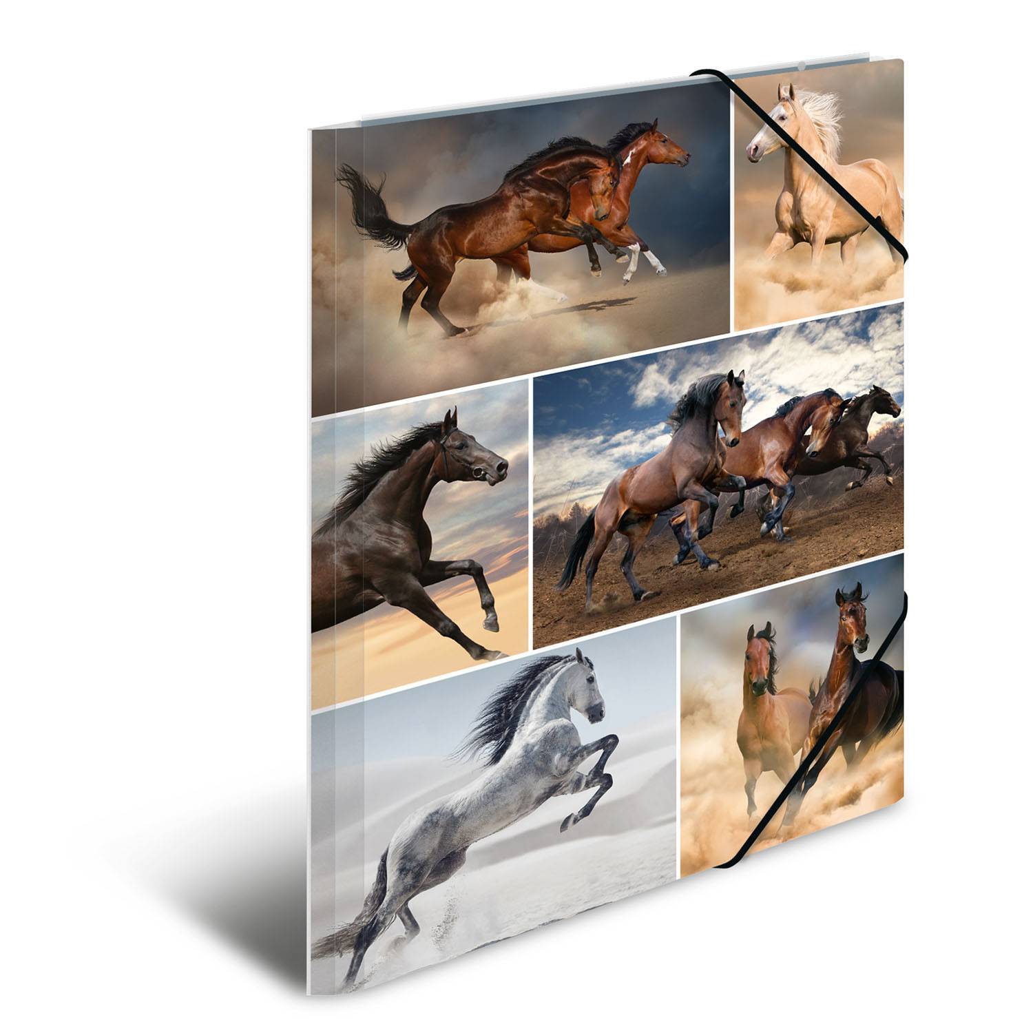 HERMA 19209, A4, Karton, Mehrfarben, Porträt, Gummiband, 1 Stück(e)