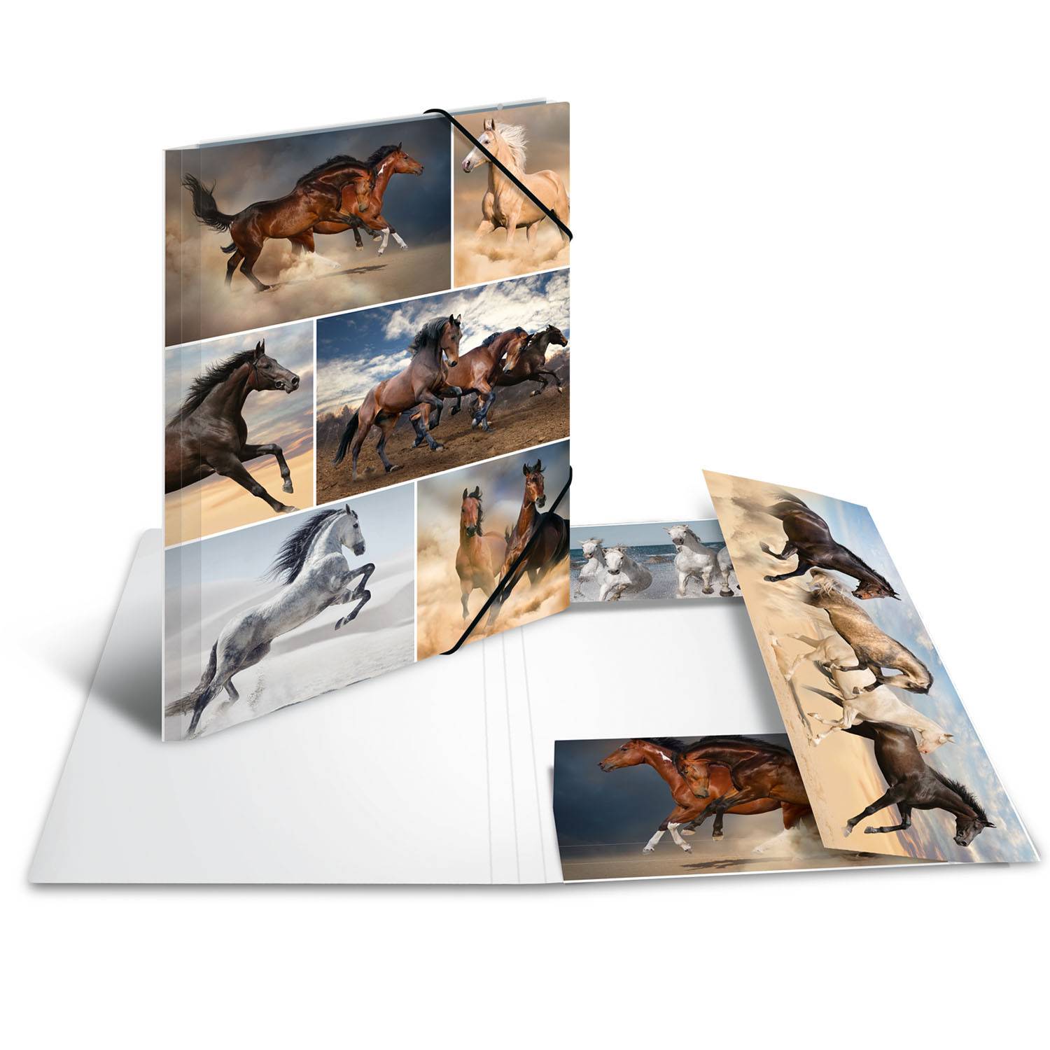 HERMA 19209, A4, Karton, Mehrfarben, Porträt, Gummiband, 1 Stück(e)