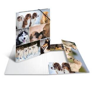 HERMA 19211, A4, Karton, Mehrfarben, 1 Stück(e)