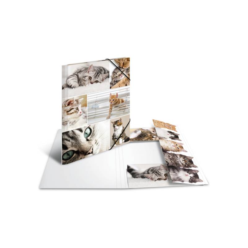 Fotobuch oder Scrapbook mit mehreren Katzenbildern auf offenen Seiten, einige Seiten ausgeklappt in eine stehende Ausstellung.