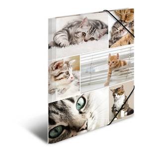 HERMA 19212, A4, Karton, Mehrfarben, 1 Stück(e)