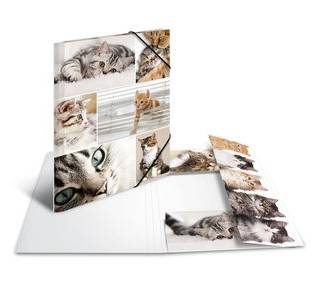 HERMA 19212, A4, Karton, Mehrfarben, 1 Stück(e)