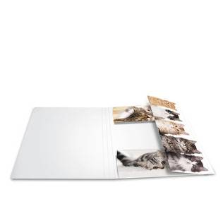 HERMA 19212, A4, Karton, Mehrfarben, 1 Stück(e)