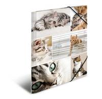 HERMA 19212, A4, Karton, Mehrfarben, 1 Stück(e)