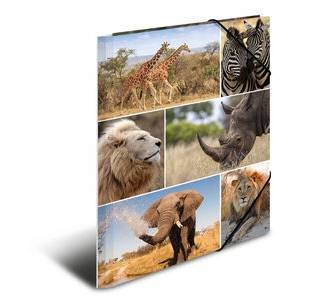 HERMA 19214, A4, Karton, Mehrfarben, 1 Stück(e)