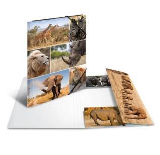 HERMA 19214, A4, Karton, Mehrfarben, 1 Stück(e)