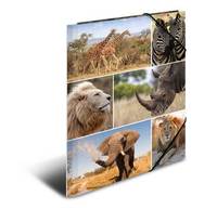 HERMA 19214, A4, Karton, Mehrfarben, 1 Stück(e)