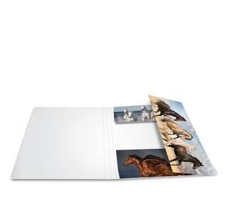 HERMA 19217, A3, Karton, Mehrfarbig, 1 Stück(e)