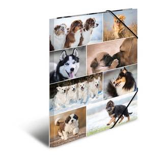 HERMA 19218, A3, Karton, Mehrfarben, 1 Stück(e)