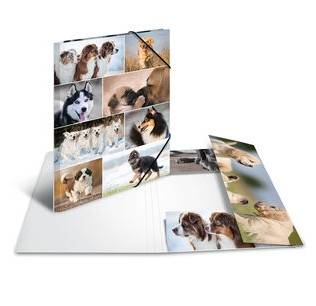 HERMA 19218, A3, Karton, Mehrfarben, 1 Stück(e)