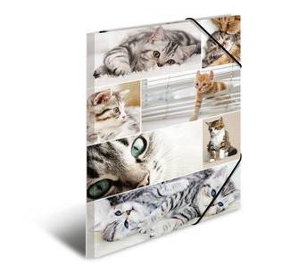 HERMA 19219, A3, Karton, Mehrfarbig, 1 Stück(e)