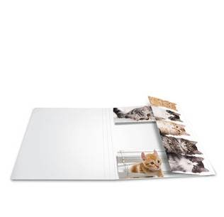 HERMA 19219, A3, Karton, Mehrfarbig, 1 Stück(e)