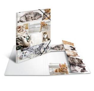 HERMA 19219, A3, Karton, Mehrfarbig, 1 Stück(e)