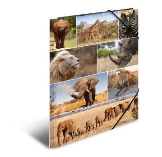 HERMA 19222, A3, Karton, Mehrfarben, 1 Stück(e)