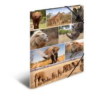 HERMA 19222, A3, Karton, Mehrfarben, 1 Stück(e)