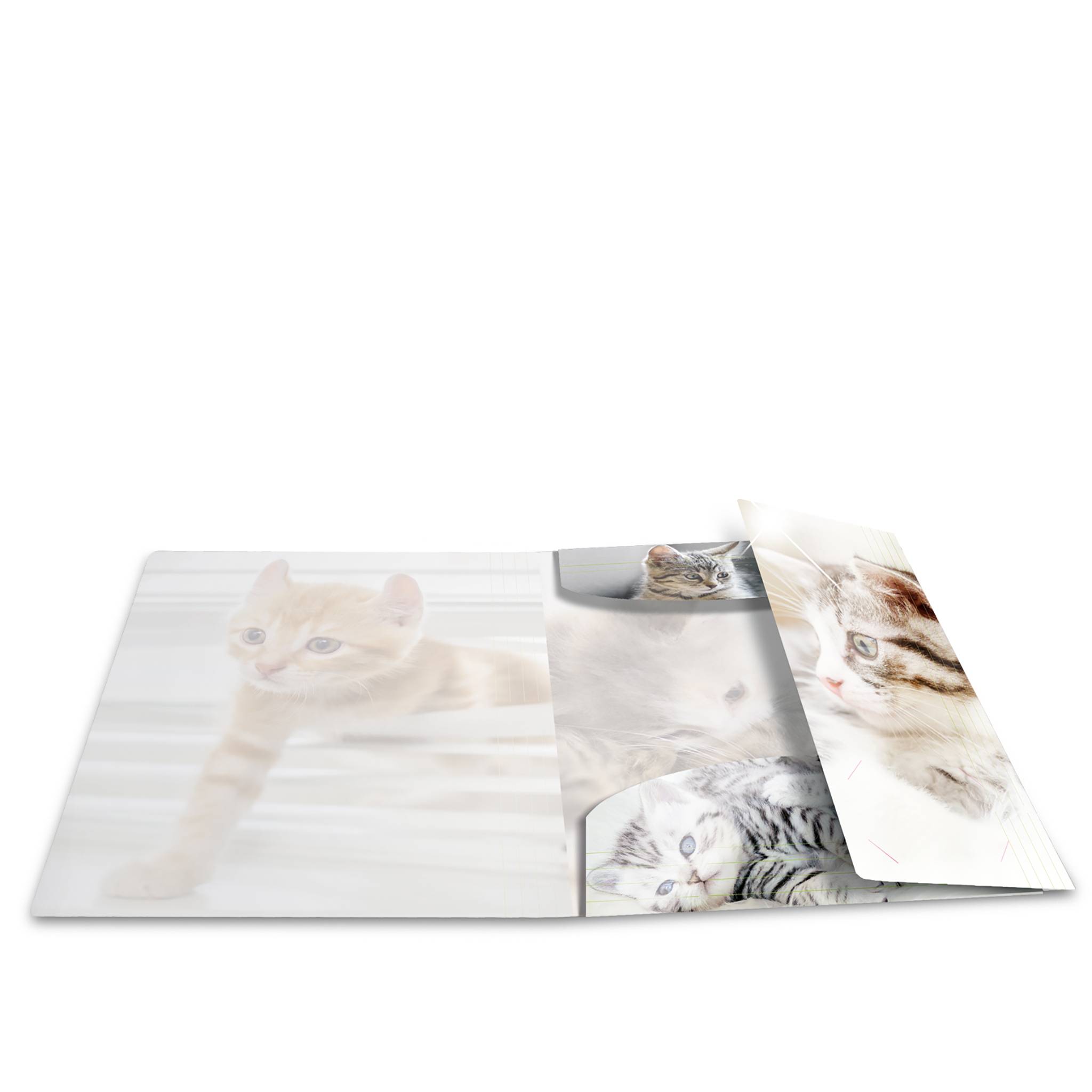 HERMA 19328, Konventioneller Dateiordner, A4, Polypropylen (PP), Mehrfarbig, Glänzend, Porträt