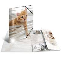 HERMA 19328, Konventioneller Dateiordner, A4, Polypropylen (PP), Mehrfarbig, Glänzend, Porträt