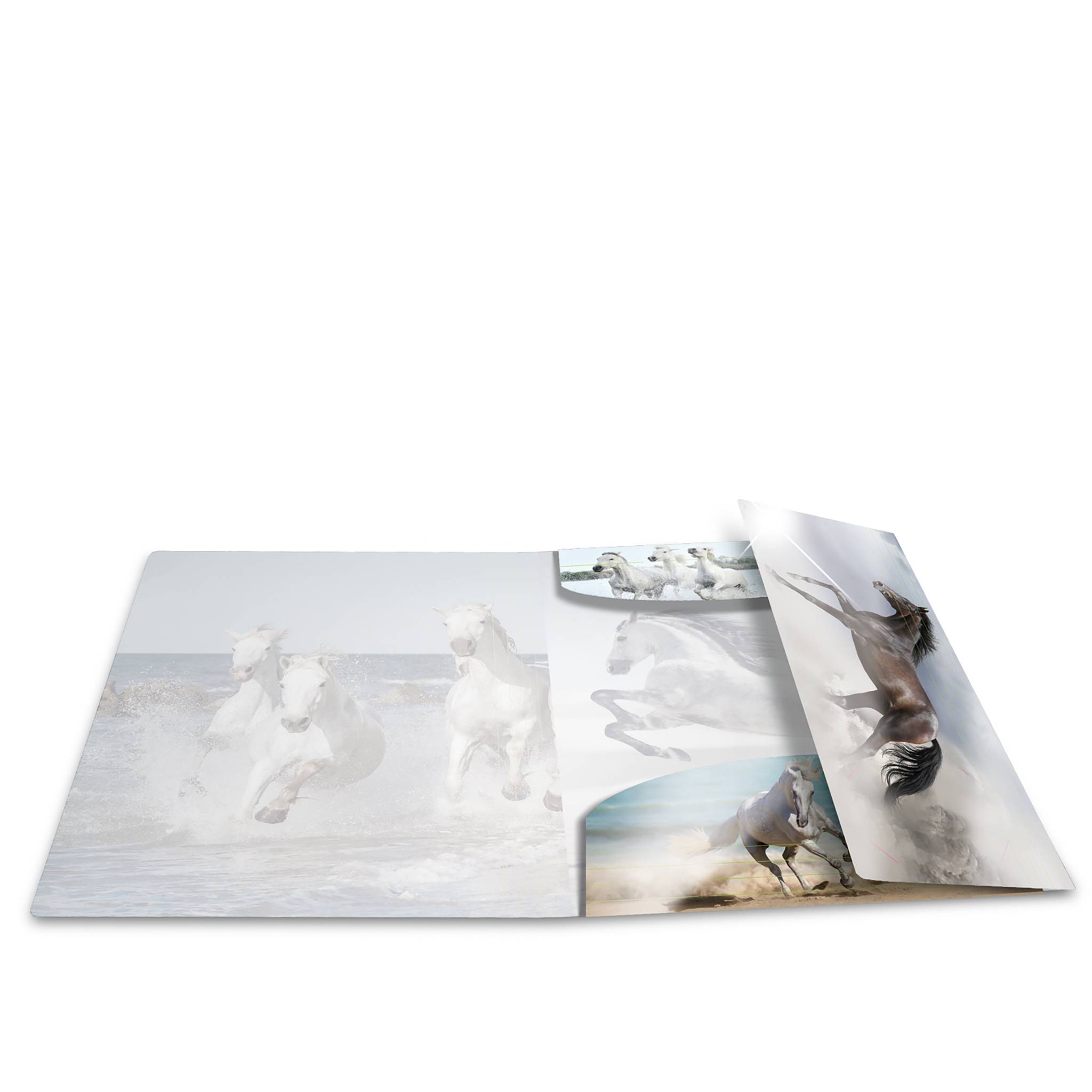 HERMA 19329, Konventioneller Dateiordner, A4, Polypropylen (PP), Mehrfarben, Porträt, Gummiband