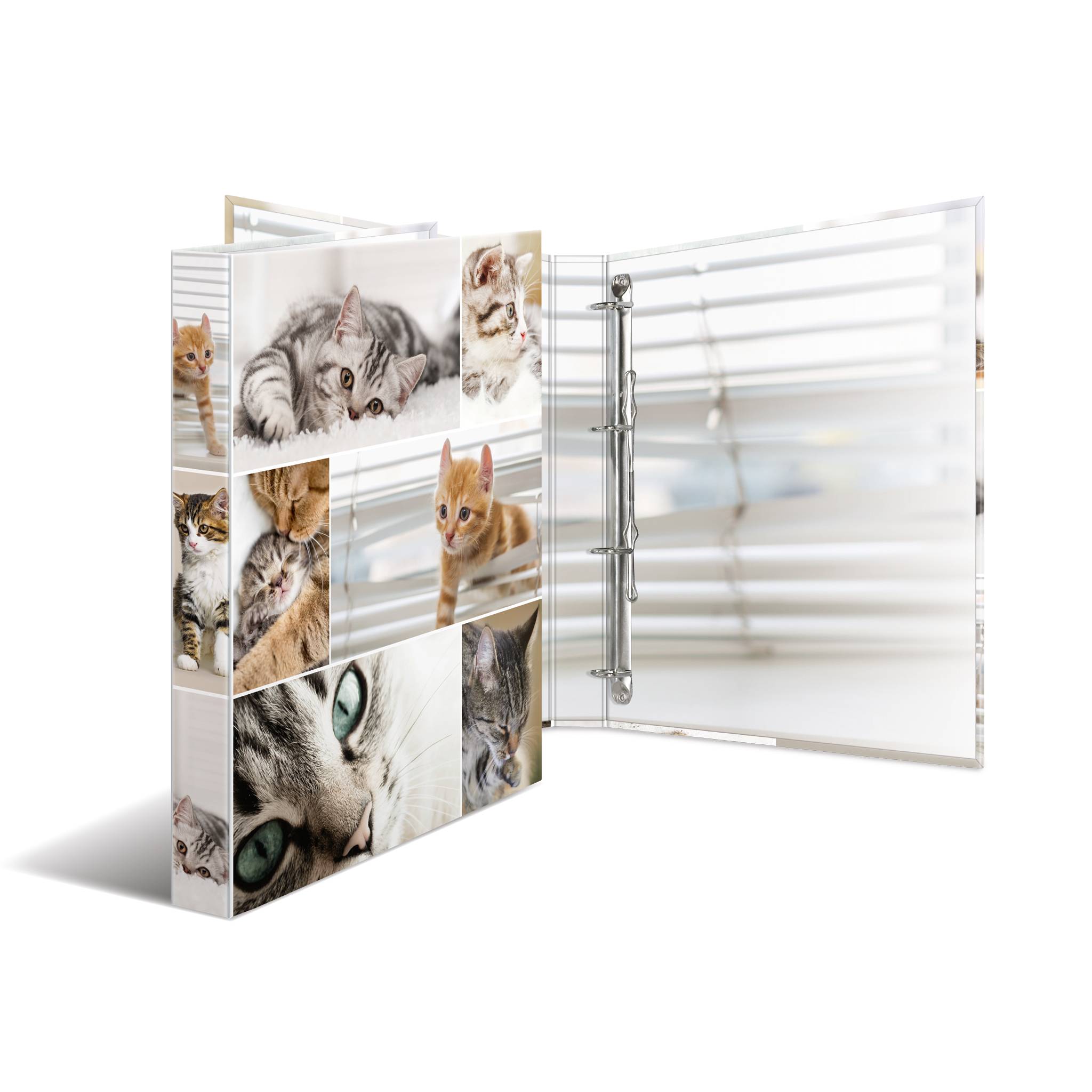 HERMA 19359, A4, Karton, Mehrfarbig, 3,5 cm, 260 mm, 315 mm