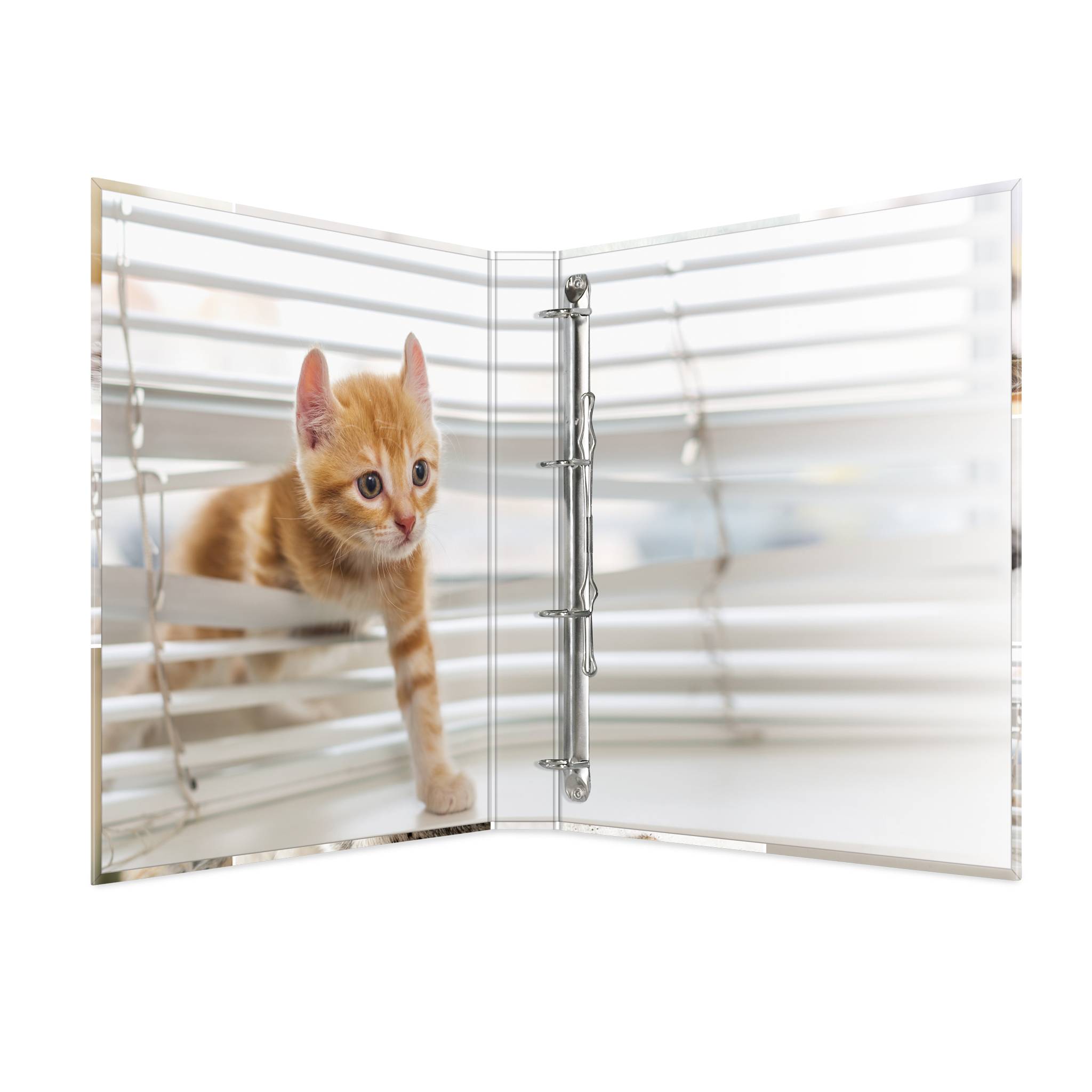 HERMA 19359, A4, Karton, Mehrfarbig, 3,5 cm, 260 mm, 315 mm