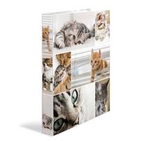 HERMA 19359, A4, Karton, Mehrfarbig, 3,5 cm, 260 mm, 315 mm