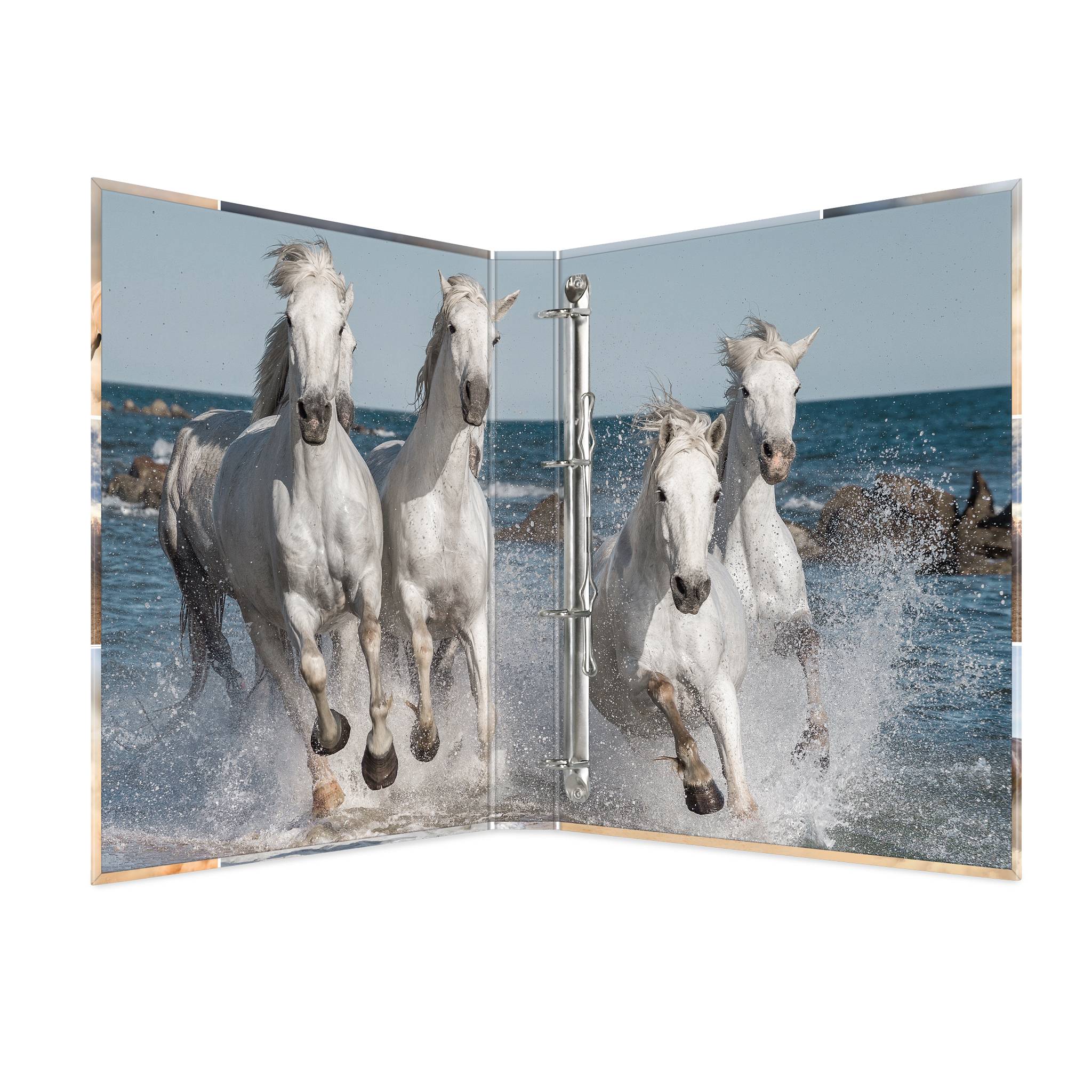 HERMA 19360, A4, Karton, Mehrfarbig, 3,5 cm, 260 mm, 315 mm