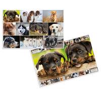 Schreibunterlage 550 x 350 mm Hunde