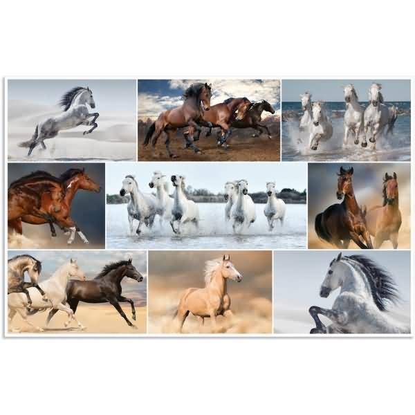 Schreibunterlage 550 x 350 mm Pferde