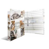 HERMA 19428, A4, Karton, Mehrfarbig, 3,5 cm, 260 mm, 315 mm