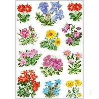 HERMA Decorative labels DECOR mountain flowers 3 sheets, different, 3 pcs