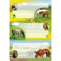 HERMA 5568, Mehrfarbig, Rechteck, Dauerhaft, Papier, 6 Stück(e), 3 Stück(e)