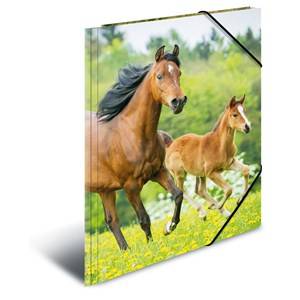 HERMA 7140, A4, Polypropylen (PP), Mehrfarbig, Porträt, Gummiband, 1 Stück(e)