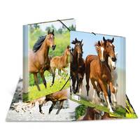 HERMA 7140, A4, Polypropylen (PP), Mehrfarbig, Porträt, Gummiband, 1 Stück(e)