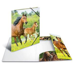 HERMA 7140, A4, Polypropylen (PP), Mehrfarbig, Porträt, Gummiband, 1 Stück(e)