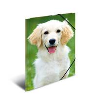 HERMA 7144, A3, Polypropylen (PP), Mehrfarben, Porträt