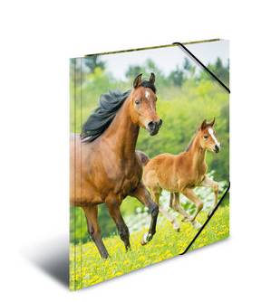 HERMA 7145, A3, Polypropylen (PP), Mehrfarben