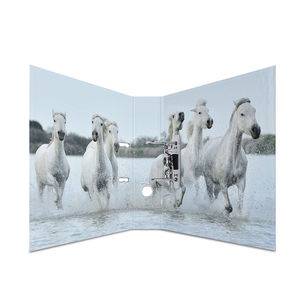 HERMA 7164, A4, Halteöse, Lagerung, Karton, 7 cm, 1 Stück(e)