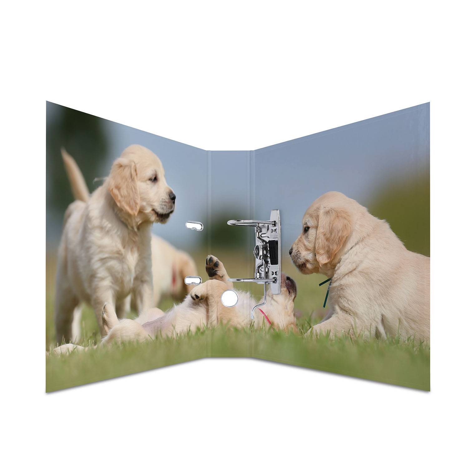 HERMA 7165, A4, Halteöse, Lagerung, Karton, 7 cm, 1 Stück(e)