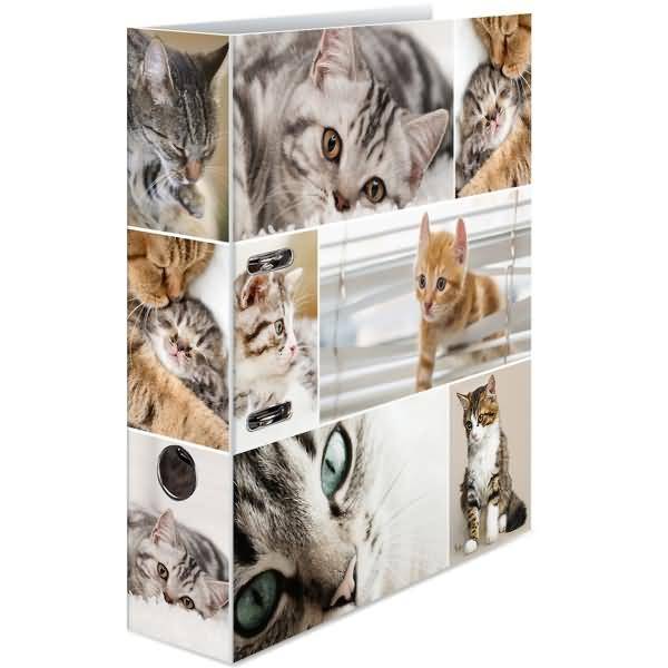 Motivordner A4 70mm Katzen
