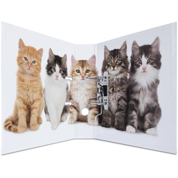 Motivordner A4 70mm Katzen
