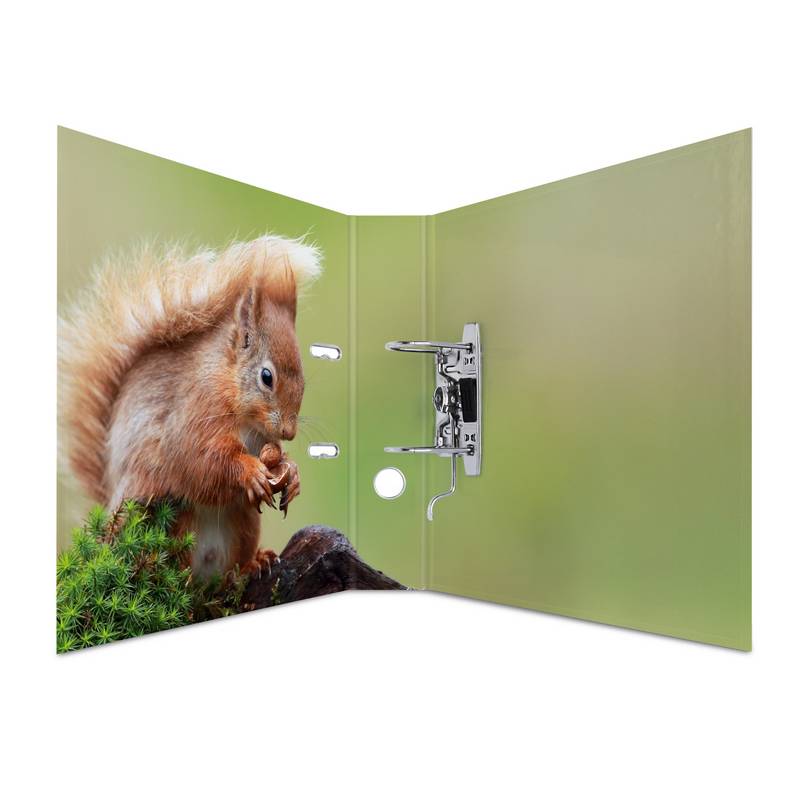 HERMA 7202, A4, Lagerung, Karton, Mehrfarbig, 7 cm, 285 mm