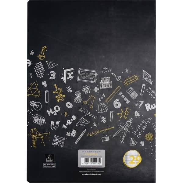 Schulheft A4 16 Blatt 80 g/qm Lineatur 29 (rautiert mit Doppelrand)