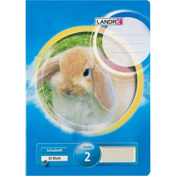 Schulheft A4 32 Blatt 80 g/qm Lineatur 2 (für alle Ausgangsschriften)