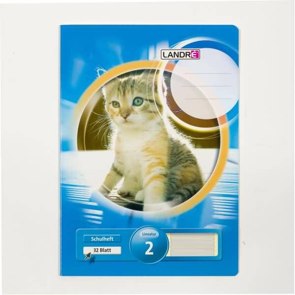 Schulheft A4 32 Blatt 80 g/qm Lineatur 2 (für alle Ausgangsschriften)