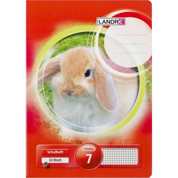 Schulheft A4 32 Blatt 80 g/qm Lineatur 2 (für alle Ausgangsschriften)