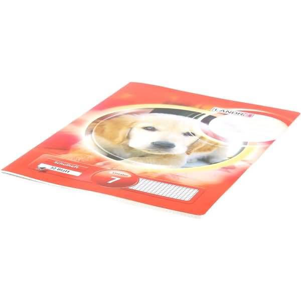 Schulheft A4 32 Blatt 80 g/qm Lineatur 7 (kariert 7 mm)