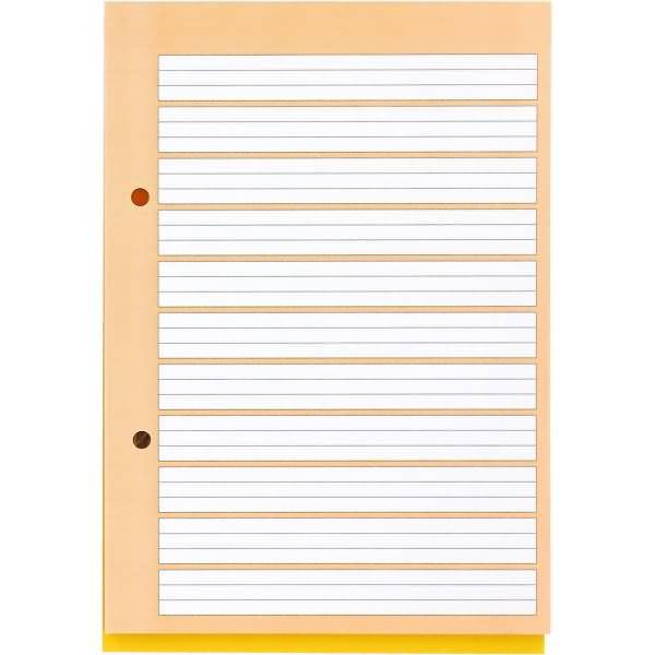 Schulblock A5 50 Blatt 80 g/qm 2-fach gelocht Lineatur 1