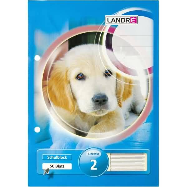 Schulblock A5 50 Blatt 80 g/qm 2-fach gelocht Lineatur 2